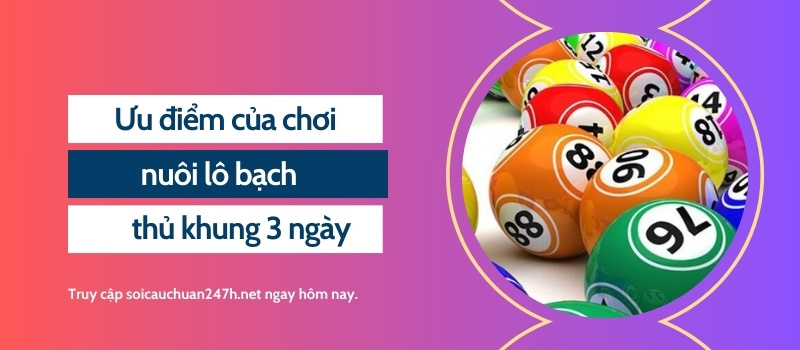 Ưu điểm của chơi nuôi lô bạch thủ khung 3 ngày