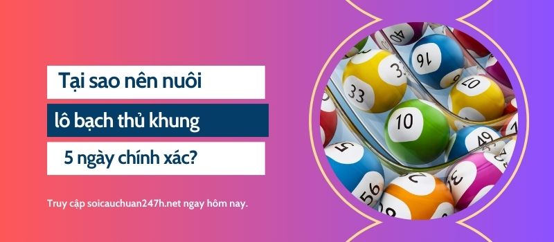 Tại sao nên nuôi lô bạch thủ khung 5 ngày chính xác