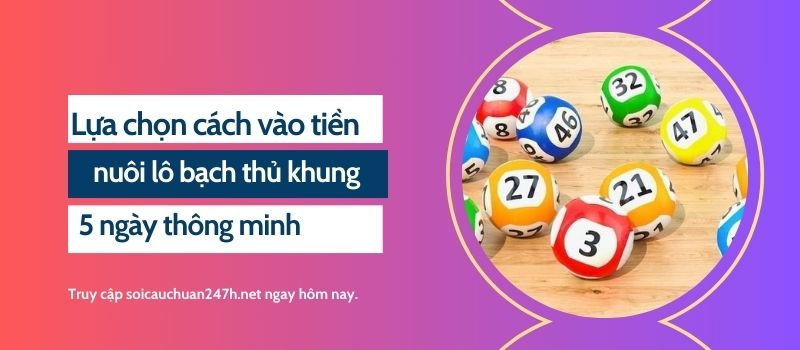 Lựa chọn cách vào tiền nuôi lô bạch thủ khung 5 ngày thông minh